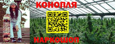молекула духа Среднеуральск